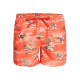 Quiksilver Ανδρικό μαγιό Everyday Scenic 15" - Swim Shorts for Men